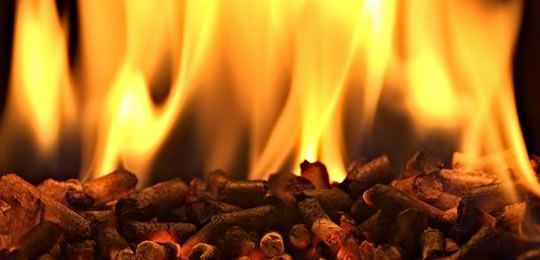 burning biomass pellets